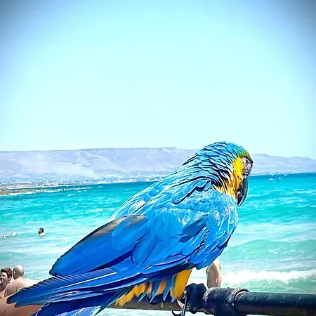 Bed and breakfast Hercules